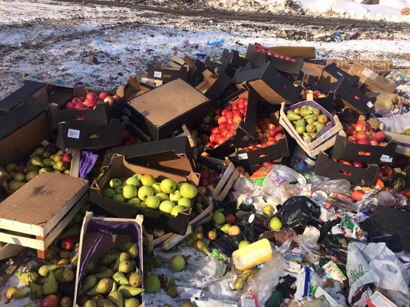 В Кургане уничтожили тонну «санкционных» фруктов