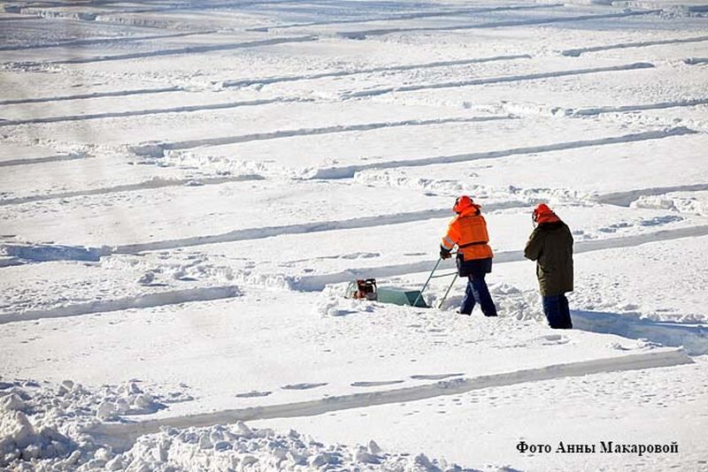 «Водный союз» готовится к распиловке льда на Тоболе