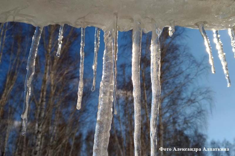 Весёлые тоже плачут