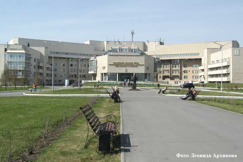 «Врачи-исследователи – люди с другой энцефалограммой»