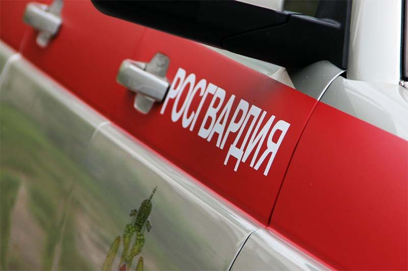 О задержании напавшего на сторожа детского сада преступника и «мобильных телохранителях» рассказали в курганской Росгвардии