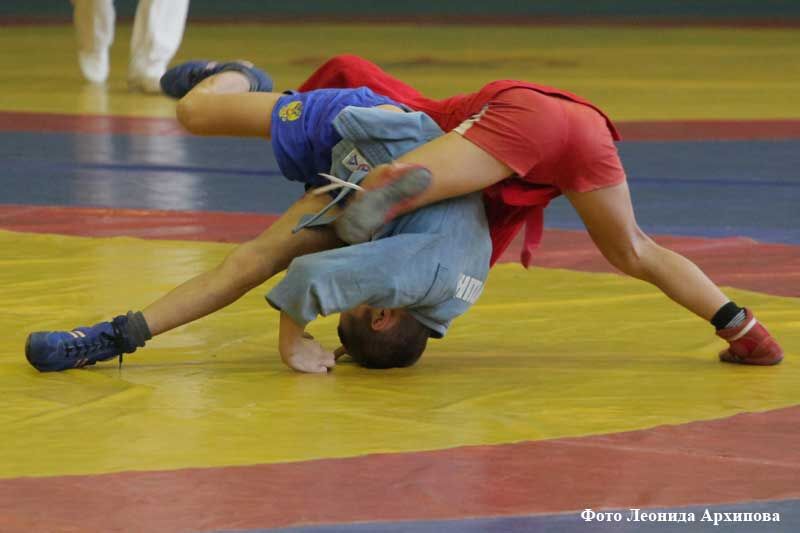 Новости спорта Курганской области