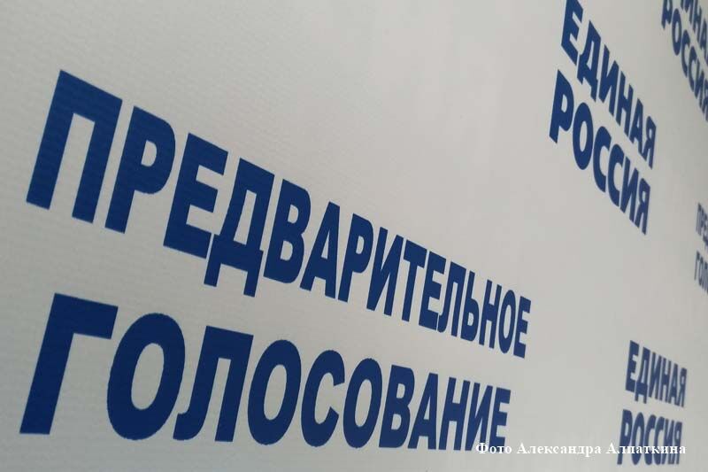 В Зауралье началось предварительное голосование «Единой России»