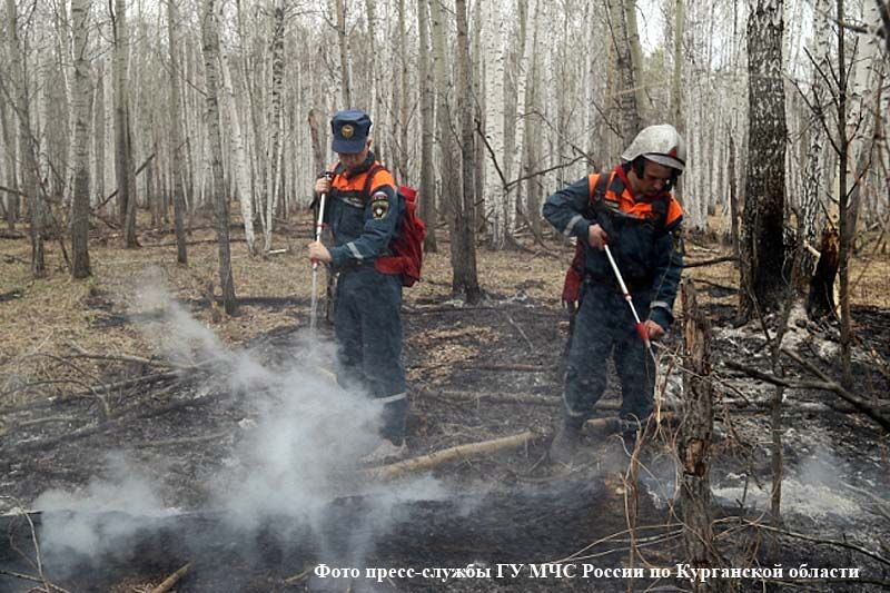 Жители поселка Илецкий благодарят зауральских пожарных за спасение домов