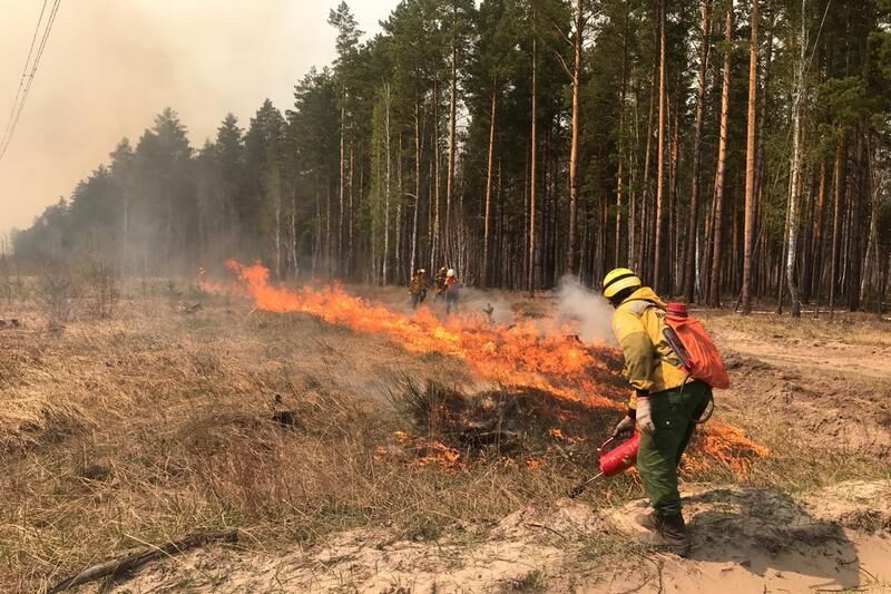 Врио губернатора Курганской области Вадим Шумков об отмене режима чрезвычайной ситуации в регионе