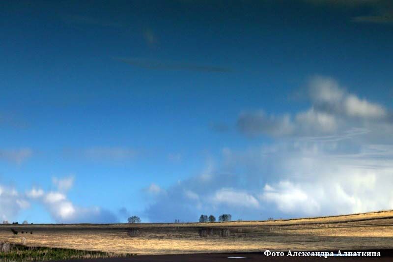 Курганцы поедут по неизведанным местам Зауралья