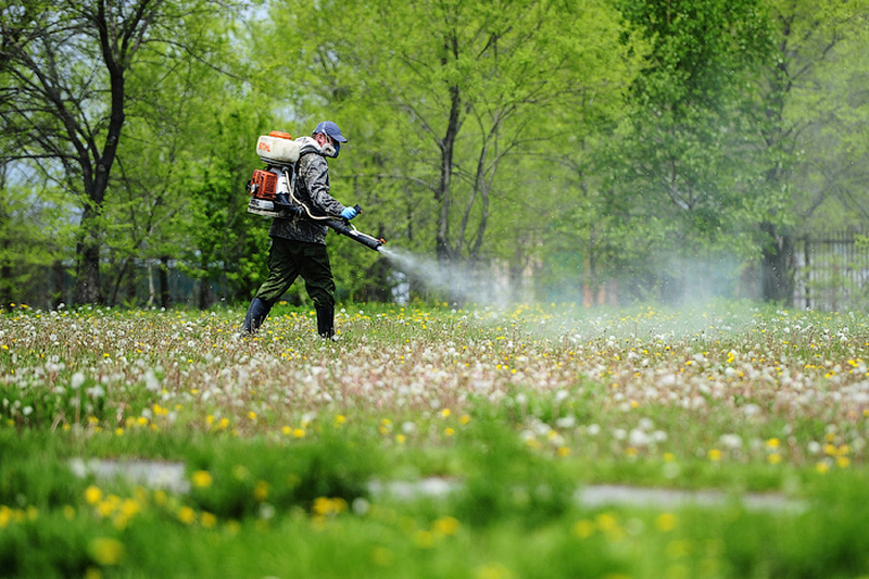 В Кургане с 20 по 30 апреля проведут акарицидную обработку на кладбищах