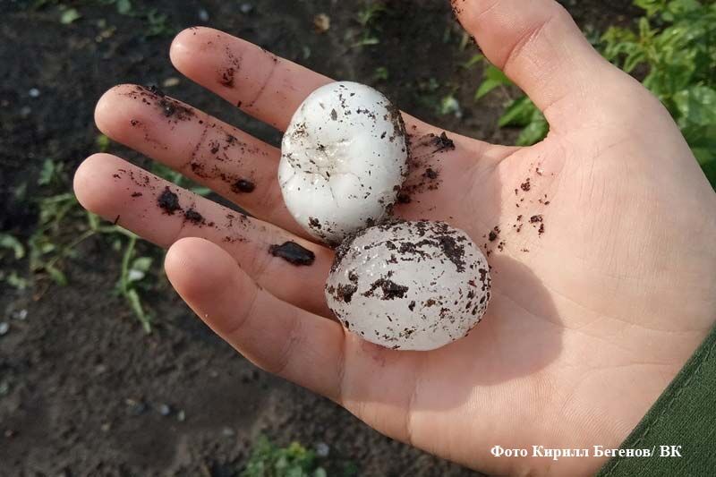 В Курганской области прогнозируют грозы, град и порывы ветра до 17 м/с