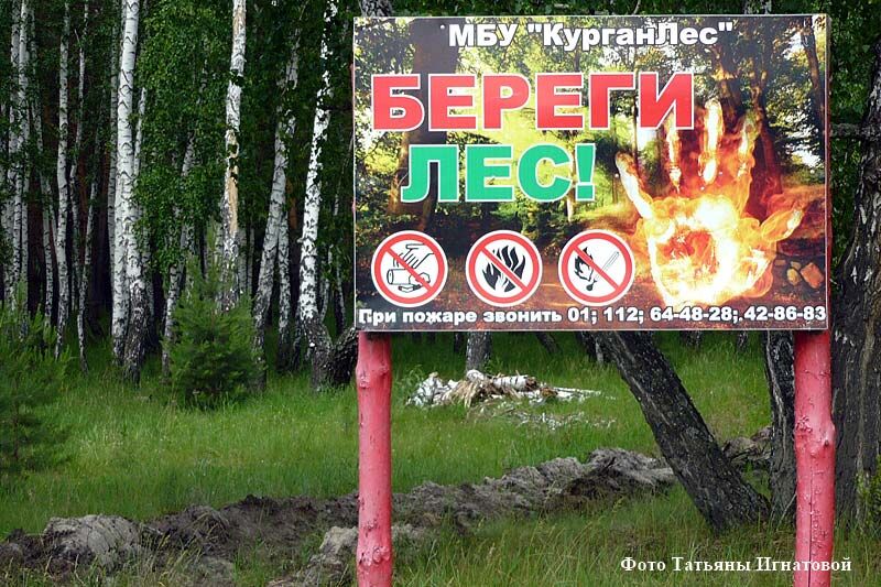 В Кургане ликвидировано 105 несанкционированных свалок