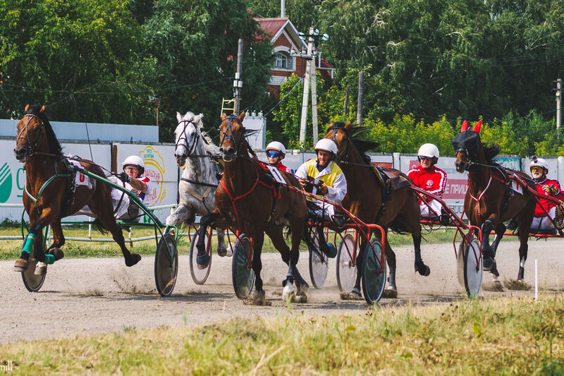 10 августа на Курганском ипподроме разыграли «Кубок губернатора» на соревнованиях по конному спорту