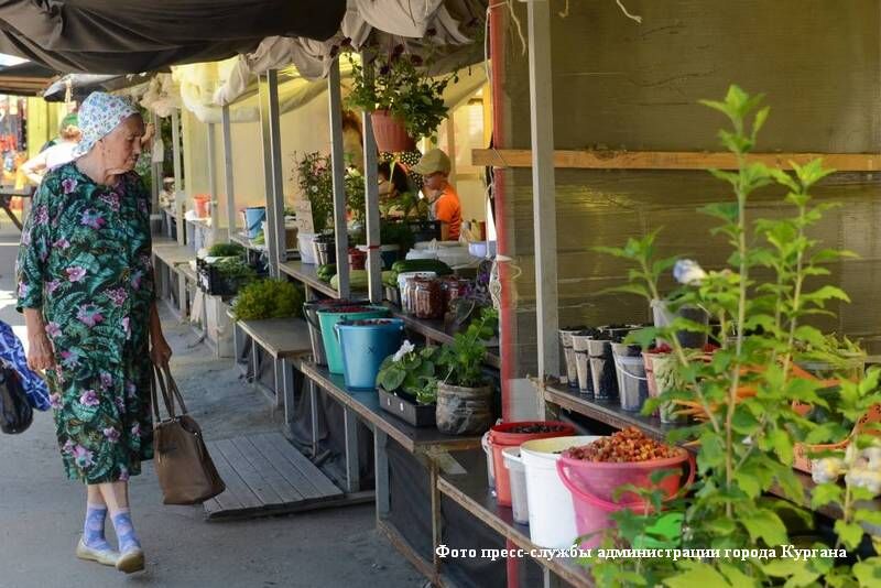 Адреса ярмарок выходного дня в Кургане