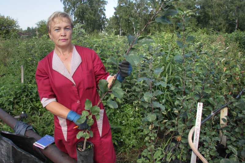 «Сады Зауралья» цветут уже 70 лет