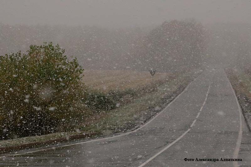 В Зауралье снова прогнозируют непогоду