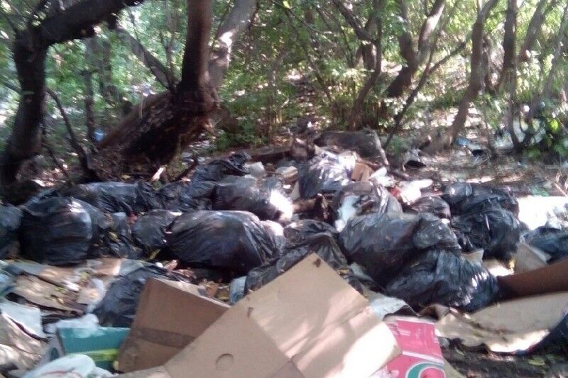 В Кургане управкоманию обязали убрать несанкционированную свалку в центре города