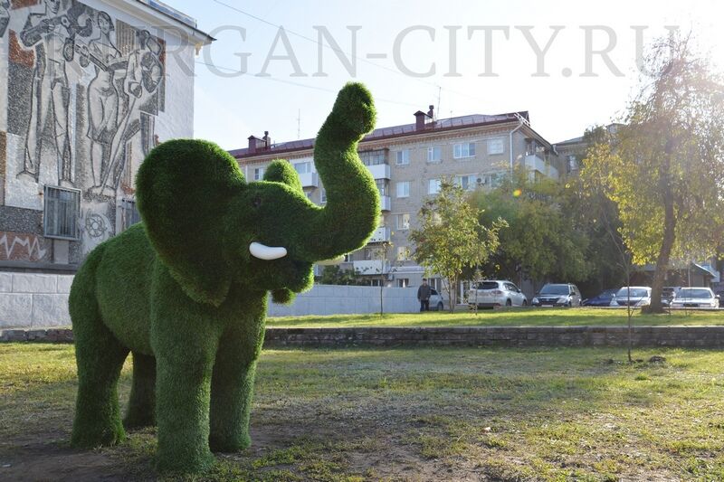Курганцы беспокоятся за сохранность топиарной фигуры слона