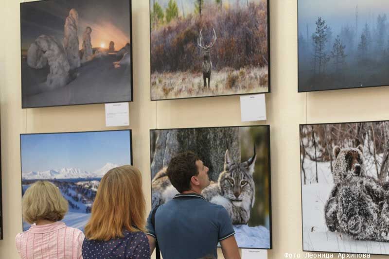 В Кургане 5 сентября откроется фотовыставка «Первозданная Россия»