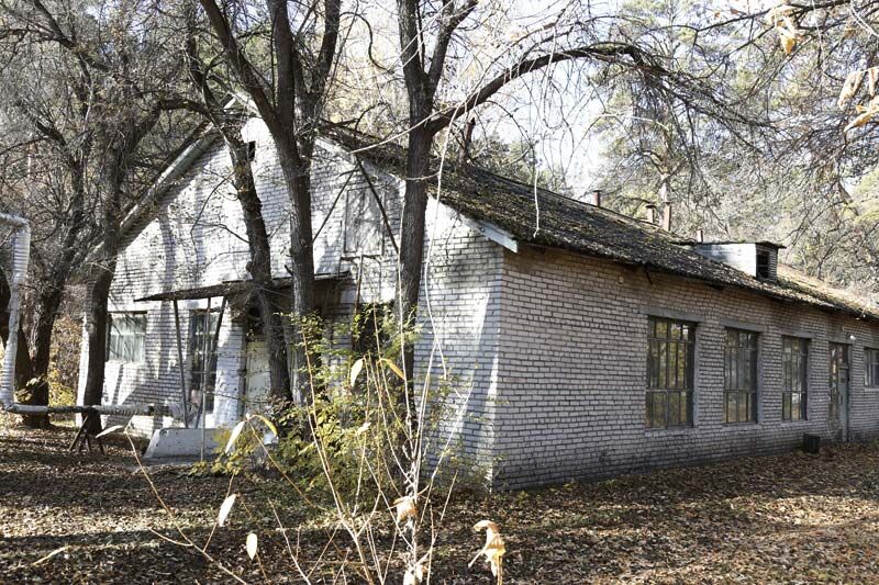 Оперативная информация о ситуации в отделении тубдиспансера в посёлке Чернавский