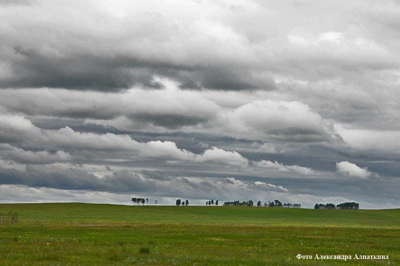 МЧС предупредило о чрезвычайной пожарной опасности в Курганской области