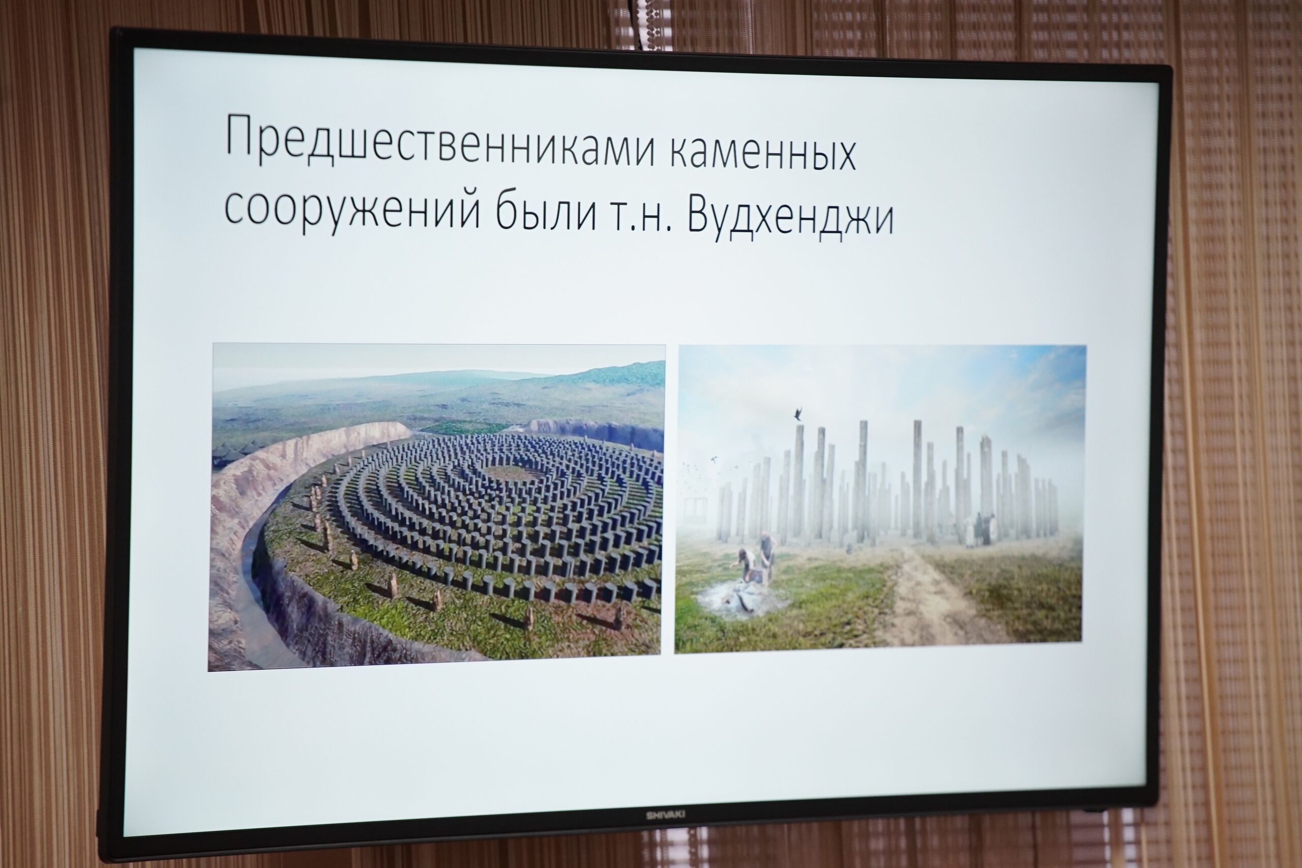 В Курганской области запустили сайт, посвящённый уникальному археологическому памятнику «Савин»