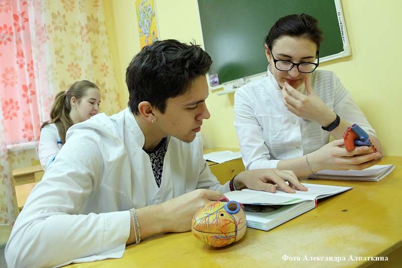 Курганским школьникам предлагают целевые направления для медицинского вуза