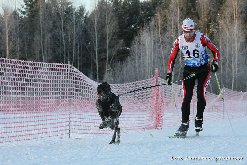 Проект «Зима спортивная» приглашает курганцев отдохнуть с пользой для здоровья