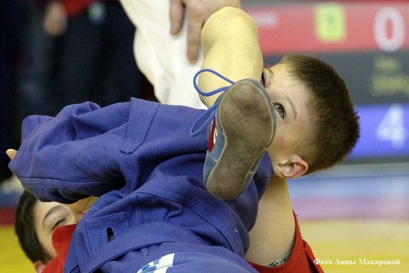 В Курганской области возобновляются тренировки в некоторых учреждениях спортподготовки