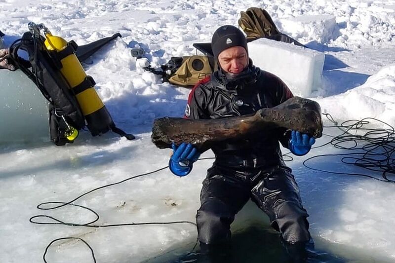 Свердловские дайверы достали из Тобола зубы ископаемых акул и кости плейстоценовых животных