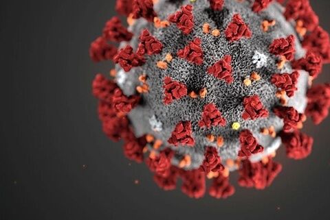 В Курганской области на 23 марта проведено 640 исследований на коронавирус