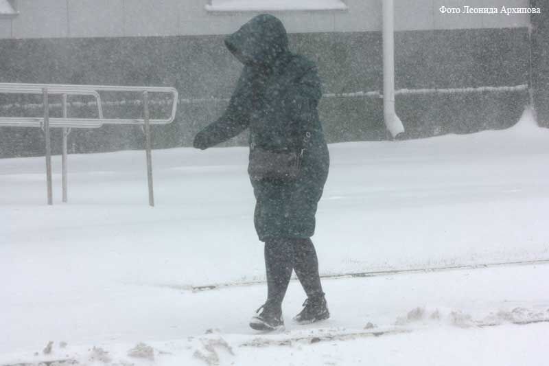 Курганцев предупредили об усилении ветра