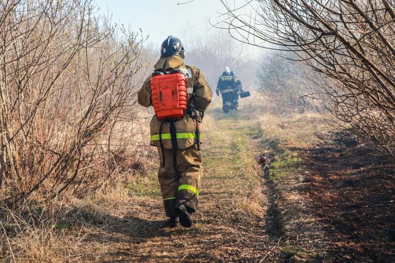 В Курганской области будет действовать постоянный парашютно-десантный отряд