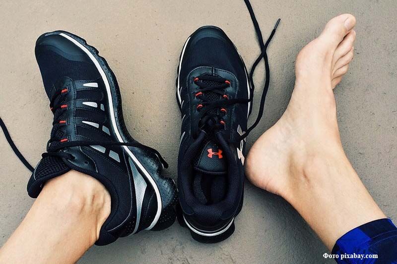 Курган отметит Всероссийский день ходьбы