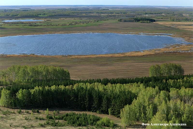 В Зауралье подвели итоги голосования за природный символ региона