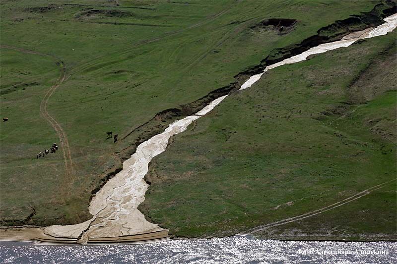 Курганский губернатор предложил создать Российский земельный фонд нераспределенных и невостребованных земель