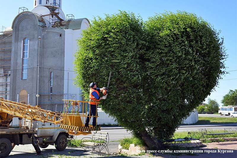 В Кургане появились зеленые арт-объекты