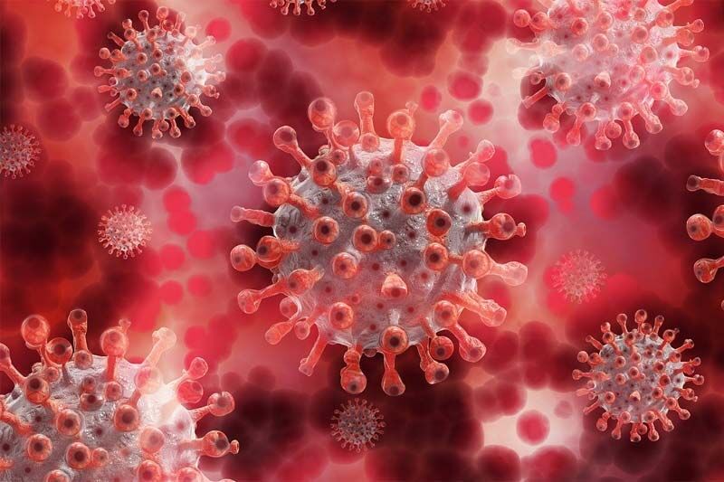 21 августа в Курганской области зарегистрировали 25 случаев COVID-19