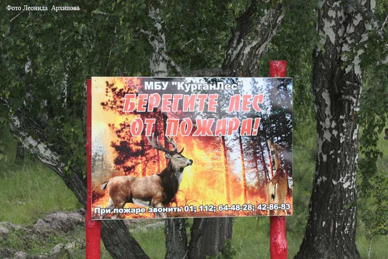 Запрет на посещение лесов продлен по 3 июля