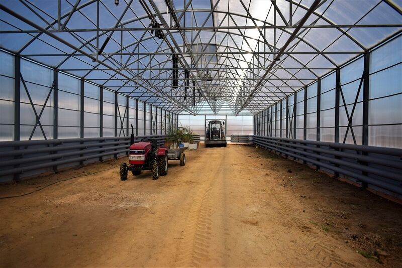 У ботанического сада Курганского госуниверситета большие планы по развитию на несколько лет вперед