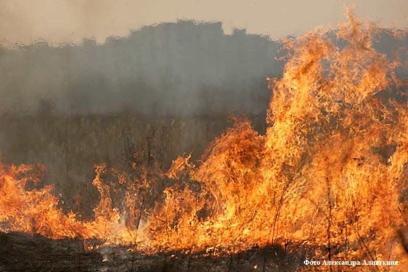 В Зауралье объявлена пожарная опасность самого высокого класса
