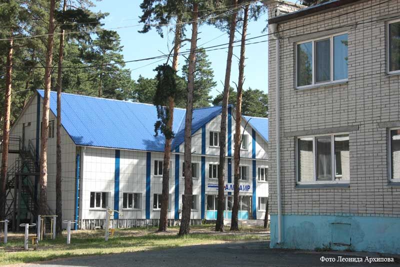 В Курганской области запустили горячую линию по вопросам детского отдыха