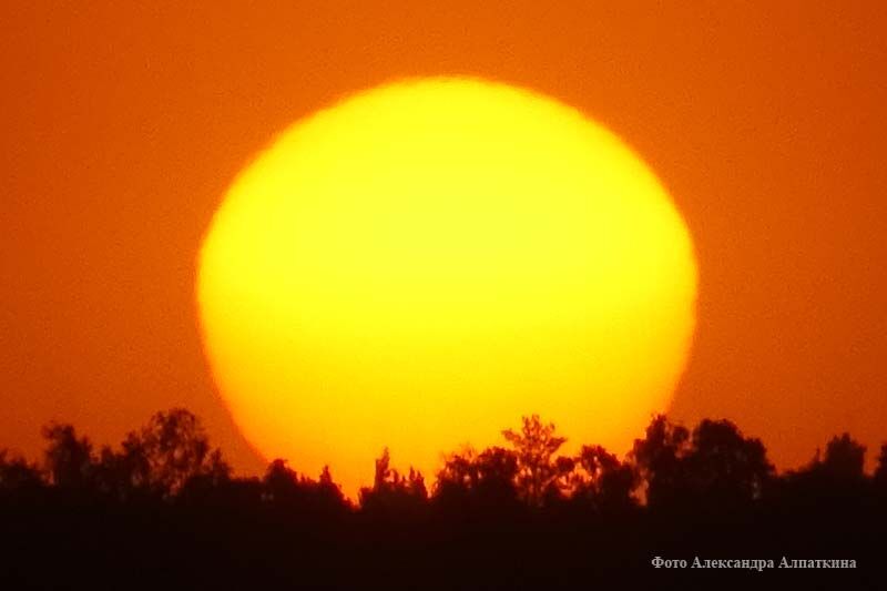 Солнце в самом расцвете сил