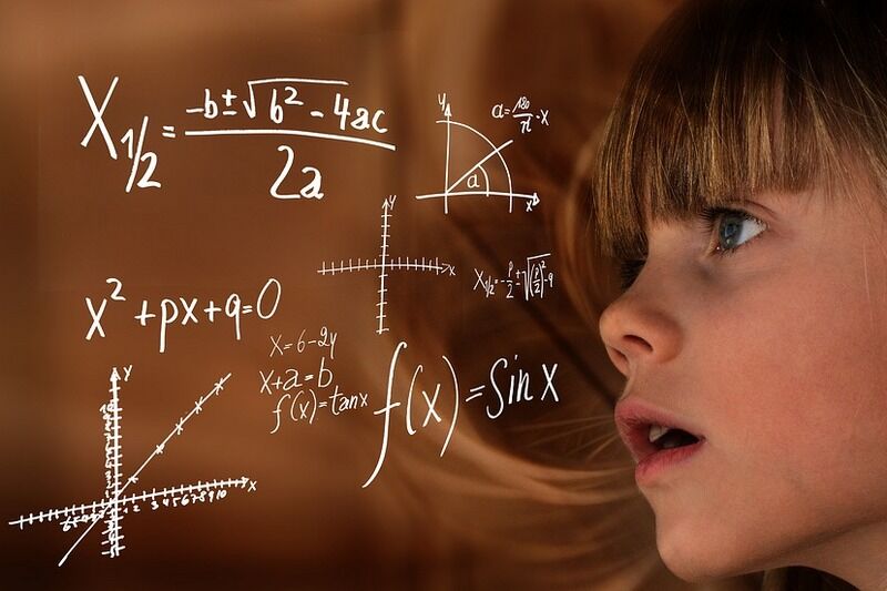 Два зауральских школьника сдали ЕГЭ по истории на 100 баллов