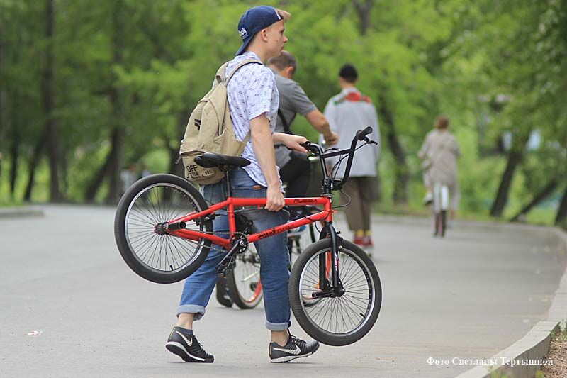 Курганских студентов научат выбирать экологичный транспорт