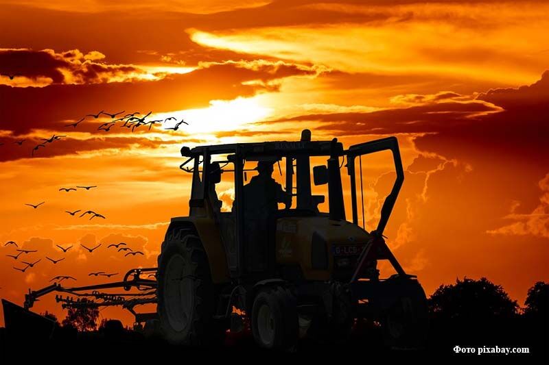 Зауралец заплатил односельчанину 460 тысяч рублей компенсации морального вреда