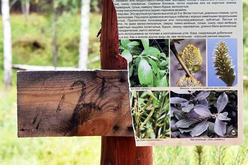 Экотропа в Курганской области стала жертвой вандалов