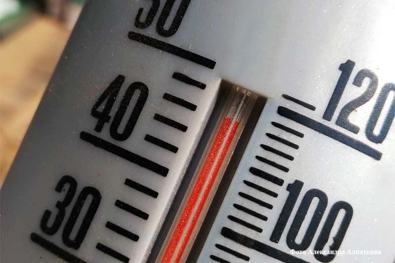 Курганцам напомнили, как оказать первую помощь при тепловом ударе