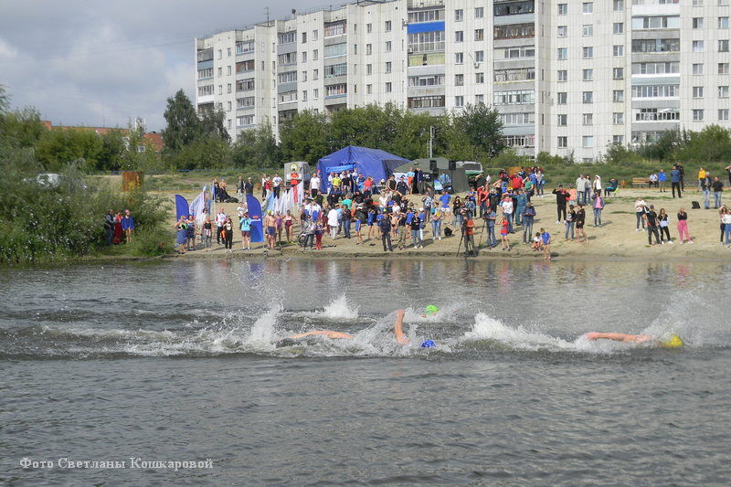 В Кургане подвели итоги фестиваля водных видов спорта