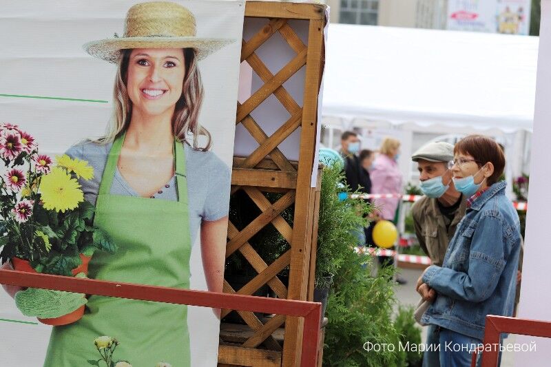 Курганских мам обучат вести бизнес