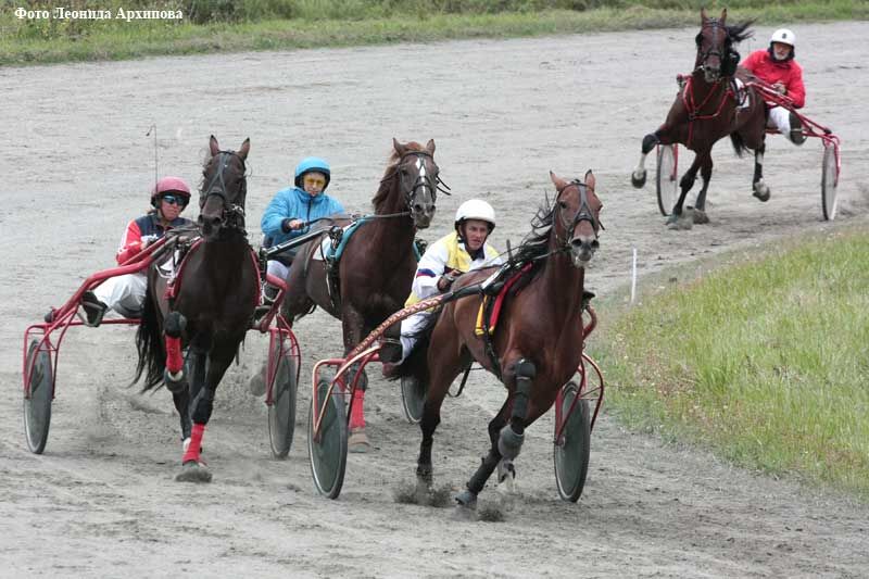 Курган проведет конный аналог «Формулы-1»