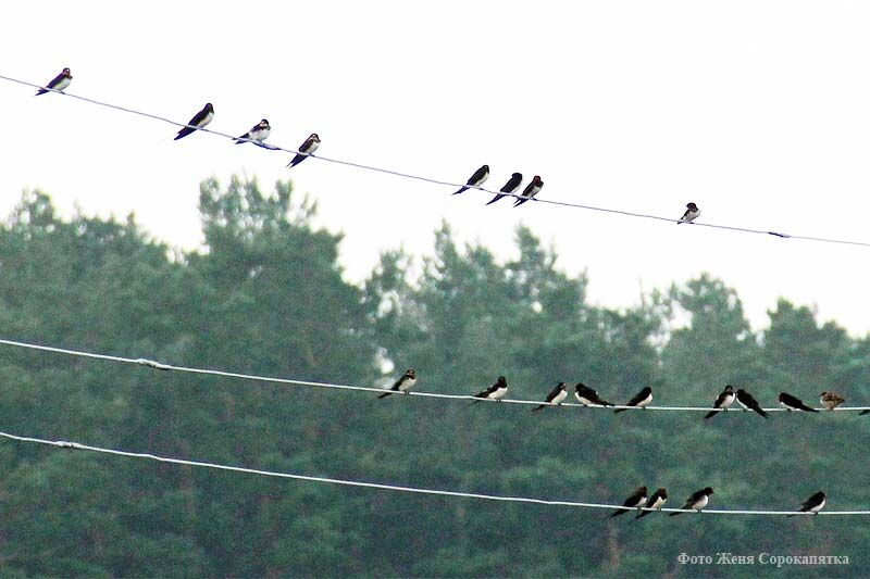 В Кургане открывается выставка любительской фотографии «Мир глазами курганцев – 2020»