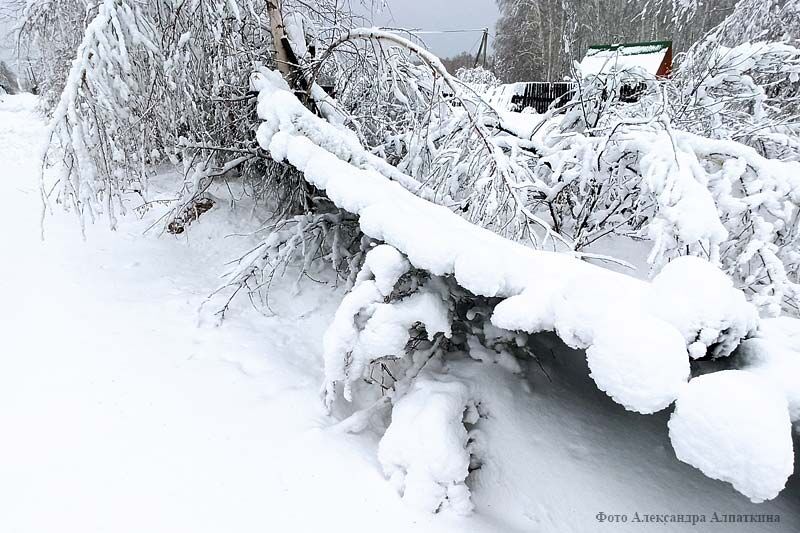Росгосстрах отмечает всплеск обращений клиентов после снегопада